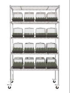 Clone Grow Rack System