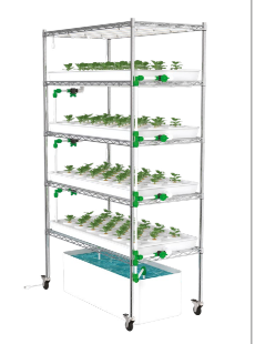 Clone Grow Rack System